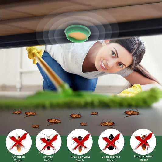 Cockroach Killer Gel (Pack of 2) | BUY 1 GET 1 FREE