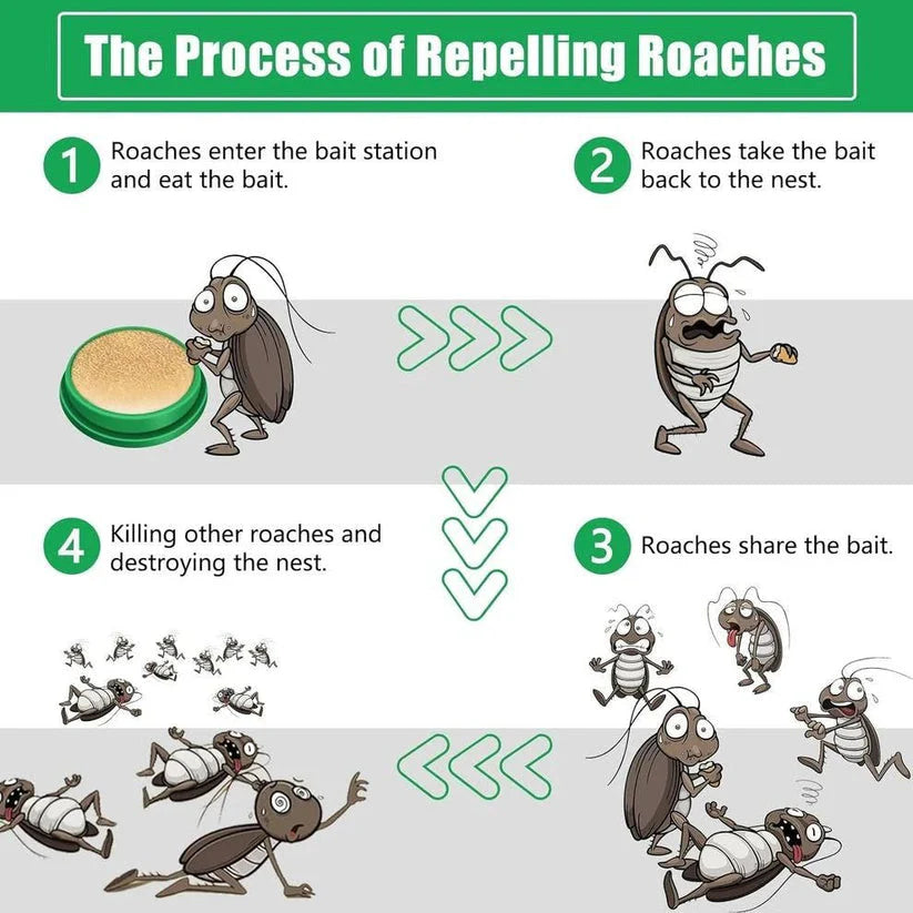 Cockroach Killer Gel (Pack of 2) | BUY 1 GET 1 FREE