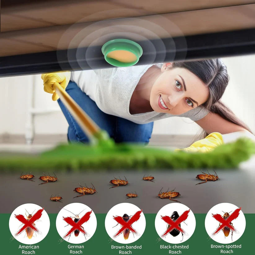 Cockroach Killer Gel (Pack of 2) | BUY 1 GET 1 FREE